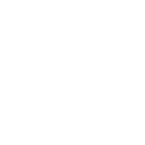 Logo von Metax